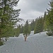 Unterwegs zur Greimrinne - im Wald liegt noch genügend Schnee für eine problemlose Abfahrt zur Greimhütte