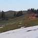 Hompessen-Alpe und Kalzhofener Höhe