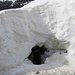 an der malga rinbianco gibts Schneemassen und haute cuisine