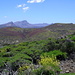Im Vordergrund rechts die Montaña Abreo, dahinter die Caldera-Erhebungen 