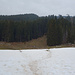 Noch Winter bei "Bode"