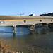 Holzbrücke über den Rhein