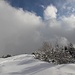 die letzten Meter zum Gipfel
