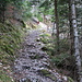 im Aufstieg zu den Leitern