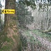 Am "Pilgerweg" vorbei bis ans Ende des Weges...