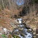 munter sprudelt der Milibach