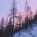 Val d'olgia
