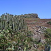 Der Gipfel des Roque del Conde. Er besteht aus einem grossen Plateau