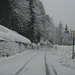 la strada che sale a Nante,ripulita dalla neve fresca ma ne cade ancora