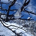 Swarov-ski.....by Giulio-Pia-Adry.......
