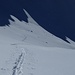 long shadows.....