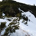 am Gipfelsattel angekommen - jetzt geht's durch Schnee und Latschen noch 50 Höhenmeter nach oben (Schwierigkeit L1 - leichter Latschenkampf)