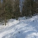 etwas mehr Schnee im nordseitigen Abstieg vom Crupspitz