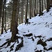 liegt zwar Schnee aber gut gangbar