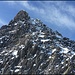 Gipfelflanke Rorspitzli - sieht flach aus, ist aber bedeutend steiler