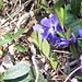 la primavera incombe
