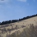 classicissima