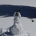 Unser Schneemann auf der Rachelwiese 