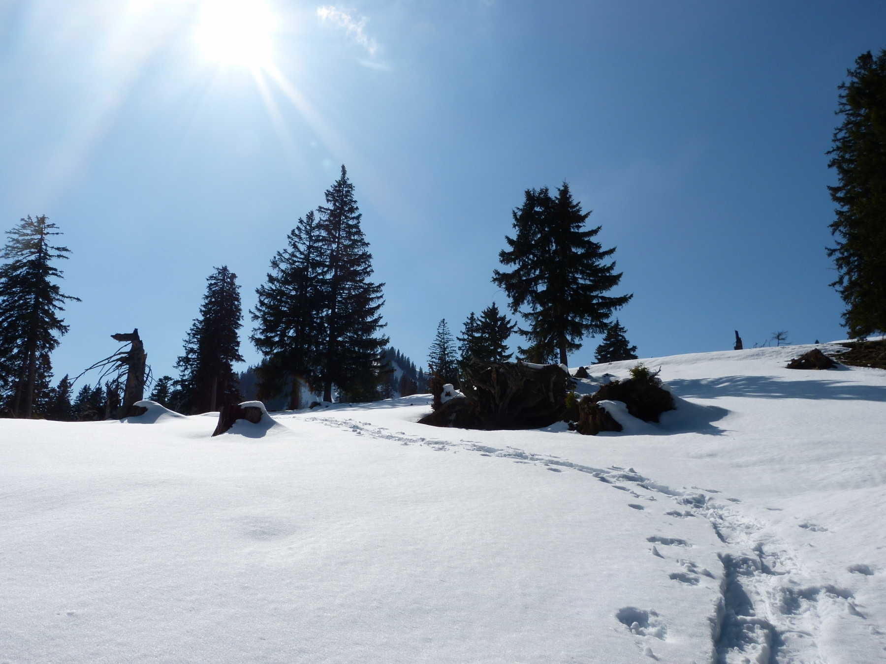 die Schneeschuhe haben wir nicht umsonst dabei - Fotos [hikr.org]