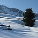 le prime baite di Campelli: 1 metro di neve a quota 1300....non poca!