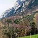 Der Mittagsstein oberhalb von Hirschwang.