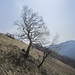 Sulle Pendici del Sasso Gordona.