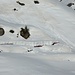 die Lidofener Hütte auf 1919m - kaum zu sehen unter der Schneelast