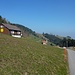 Bald erreichen wir Landmark