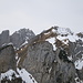 Ausblick vom höchsten Punkt der Alp Sigel: Hinter Bogartenfirst und Marwees ragen die Widderalpstöck auf