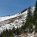 Der schneebedeckte Weiterweg zum nächstem Fichtenwald (rechtes Bilddrittel).