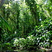 La Vanille Reserve des Mascareignes