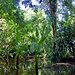 La Vanille Reserve des Mascareignes