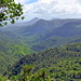 Black River Gorges National Park