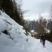 Wir folgen dem schneebedeckten Forstweg durch den Lärchenwald bergauf