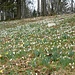 mit Sonne wäre da ein farbiges Potential vorhanden