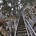die unteren Treppen (es gibt oberhalb noch eine weitere)