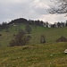 Blick zurück zum Oberdörferberg