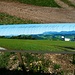 Als Schulprojektarbeit wurden 2011 zwei Panoramatafeln am Waldrand oberhalb von Steinhusen aufgestellt. 