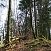 Gipfelfoto Schildflue / Schiltgrat ( 971m )