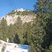 28.12.2013: Durch Wald geht es an die steile Einstein-Südflanke heran.