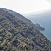 An diesen steilen Hängen wächst der vorwiegend weisse Cinque Terre Wein