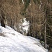 Auf dem Hüttenweg