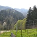 Weinanbaugebiet Südsteiermark