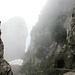 Nebel und Fels