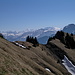 Blick über den "Le Guenéflin" zu den Berner Alpen