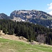 Der Amdener Gulme