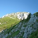 20.07.2010: Die Gemswiese, dahinter der Gipfelaufbau des Säulings.