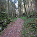 in der Combe Fabet