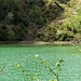 Lac Vert