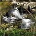 Gorge de Court